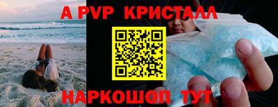 стаф Кинель