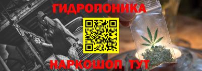 стаф Кинель