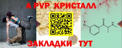 стаф Кинель