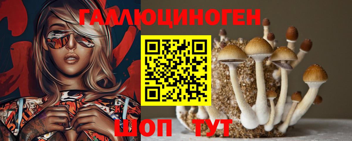 Галлюциногенные грибы Psilocybe  Вход с VPN  Кумертау  Галлюциногенные грибы Psilocybe 